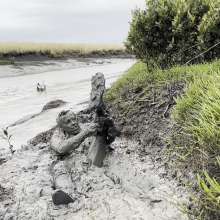Mudadventurer: Coastal Mud