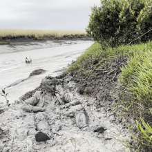 Mudadventurer: Coastal Mud