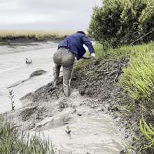 Mudadventurer: Coastal Mud