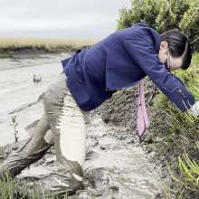 Mudadventurer: Coastal Mud