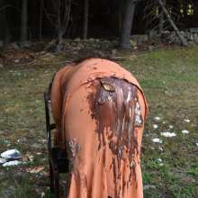 JD and Messy Andi: Andi Visits The Sploshing Cafe!
