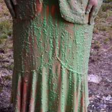 JD and Messy Andi: Andi Visits The Sploshing Cafe!