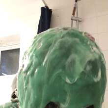 Erin: Pies, pink and green slime