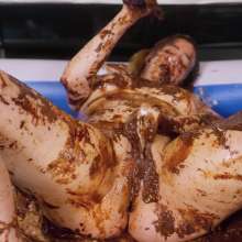 Lyndra Lynn: Lyndra Lynn Chocolate Fun