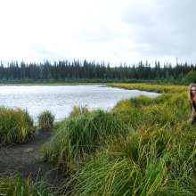 dlodoski: Darby's Dramatic Bog Exploration--Photos