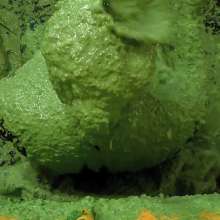 somedude82: Reddd Auditions for Yscdtotv, Gets Our Sloppiest Sliming Yet