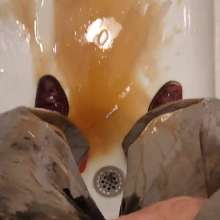 zave66: Suited Self Gunging