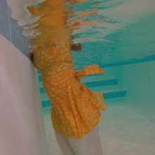 WildThang: Swimming in Yellow Sun Dress