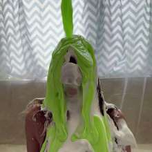 TheGungeZone: Vivi's Messy Forfeit