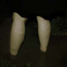 Swamp Angel: 69 Mud Liquid Skirt