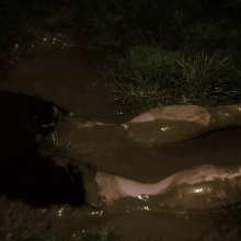 Swamp Angel: 69 Mud Liquid Skirt