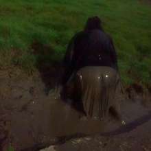Swamp Angel: 78 Silver Wings Mud