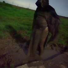 Swamp Angel: 78 Silver Wings Mud