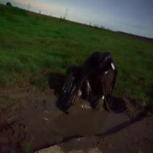 Swamp Angel: 79 Mud Latex Cape Moon