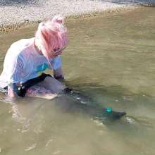 Get Your Snaps: Pinkie gets wet in the river