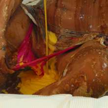 HotWamHD: Antonia's Messy Modelling Masterclass now in UMD store!