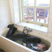 eileenvogel: W449 Eileen in business suit dunking in the bath
