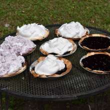 JD and Messy Andi: Blueberry Compote Test