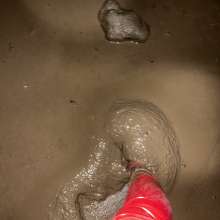 Muddy_j2018: 