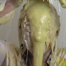 RevSlymsford: Mia Sets Up and Trashes Michelle With Pies and Slime + More