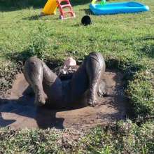 Darkabyss445: Muddy Affair in Satin and Stockings