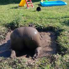Darkabyss445: Muddy Affair in Satin and Stockings