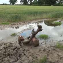 custardcouple: Mud My White Jeans 2