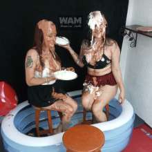 Wam Bagheera Studio: 