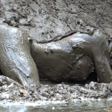 Jayce: Traveling and Running into Tanner QS for 3 days of Outdoor mud bliss!