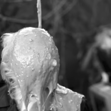 Wayne Kerr: Messy metal video