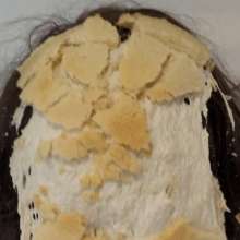 Patsy Pastry: 