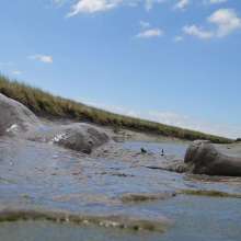 Rubbberscum: Thick River Mud Submersion and Orgasm 50% off sale right now!