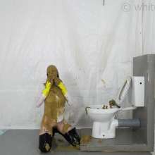 whiteroomberlin: Toilet Trouble II