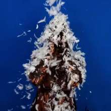 The Man and The Wife: New Download- 'Tori: Tar and Feathered 3 Times... and Green Slimed'