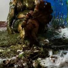 The Man and The Wife: New Download- 'Tori: Tar and Feathered 3 Times... and Green Slimed'