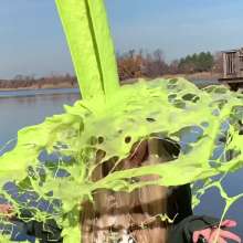 East Coast Slime: Abby
