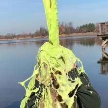 East Coast Slime: Abby