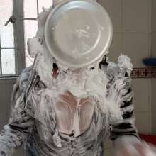 Hikari-Studio-Wam: A Giant Pie in the Face for Hikari