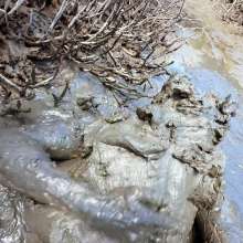 Goonology: Massive Mountains of Mud