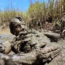 Goonology: Massive Mountains of Mud