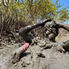 Goonology: Massive Mountains of Mud