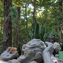 TheGoldenTicket: A Mid-Summers Clay Pit Dream