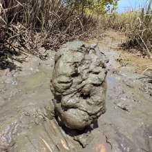 Goonology: As Gooped As It Gets