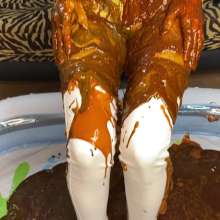 Wam Bagheera Studio: Bianca's Humiliating Messy Dream