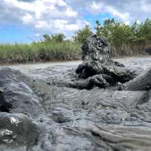 Goonology: Busted in the Bog