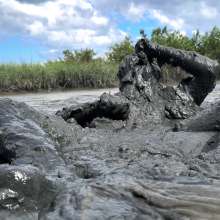 Goonology: Busted in the Bog