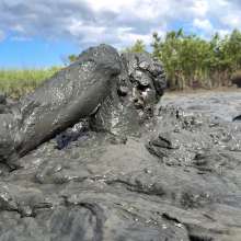 Goonology: Busted in the Bog