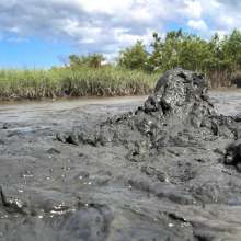Goonology: Busted in the Bog