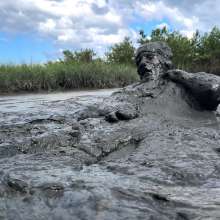 Goonology: Busted in the Bog