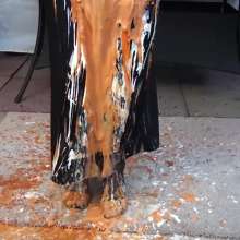 WSMProductions: Custard Couple In 